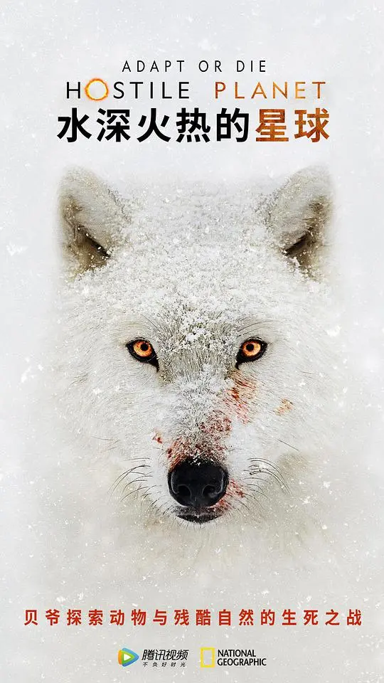 《水深火热的星球》第一季：绝境求生！一场震撼心灵的自然史诗