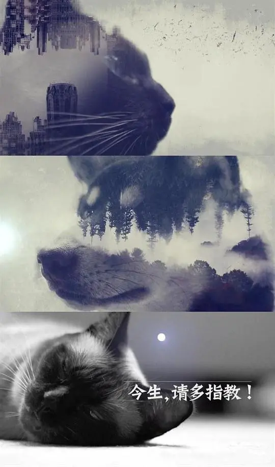 《今生，请多指教》第二季：甜蜜爱情再续，温馨治愈日常，这次轮到兽医撒糖啦！